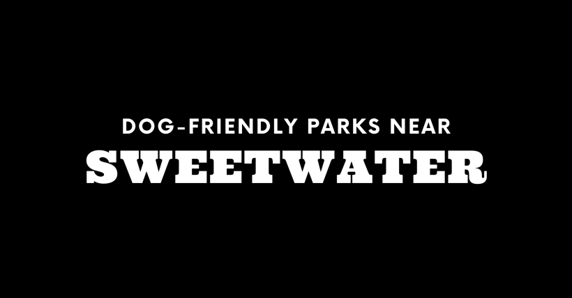 Dog-Friendly Parks Near Sweetwater
